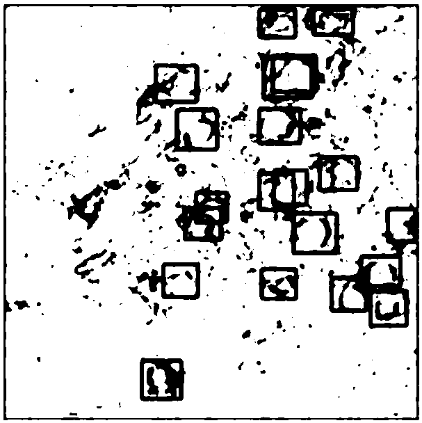 Deep learning-based cell detection counting method and system