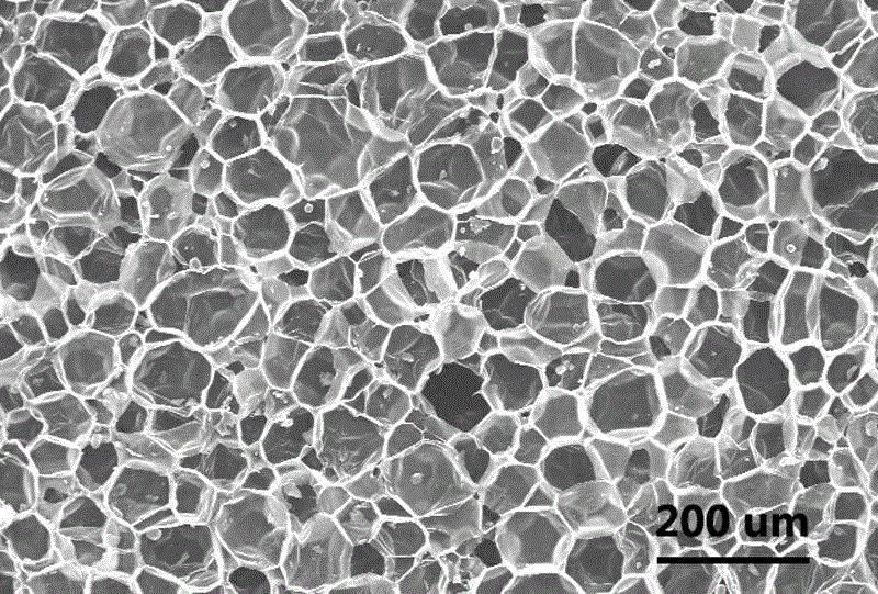 Preparation method of uniform-cell and high-buffer polylactic acid foamed material