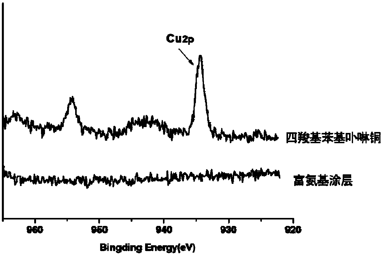 Preparation method and application of amino-rich stent material modified by copper 4-carboxyphenyl porphyrin, blood vessel stent material and application