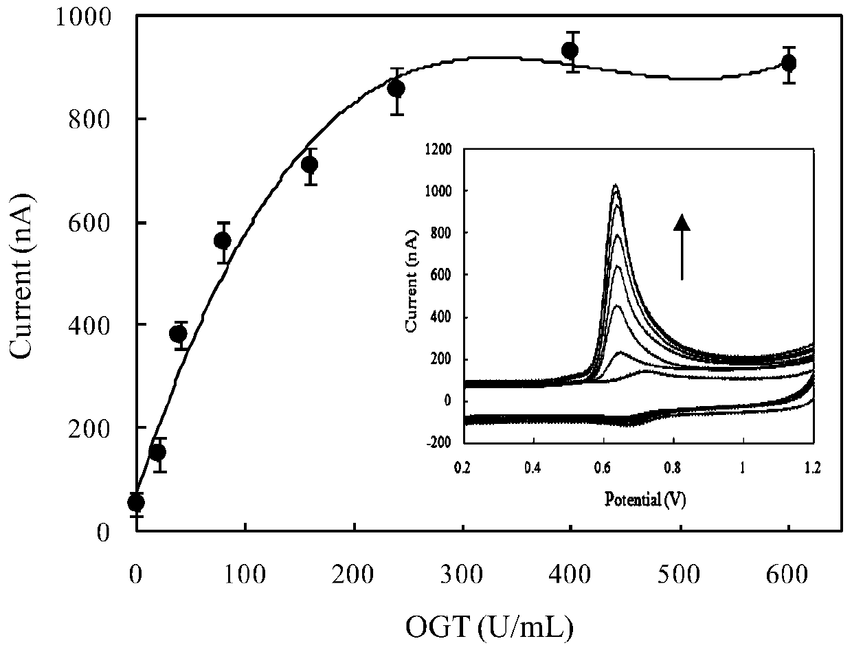 A kind of electrochemical sensing detection method of protein o-glcnac glycosyltransferase activity