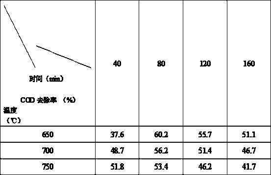 Nano diatom composite water purifying agent and preparation method thereof