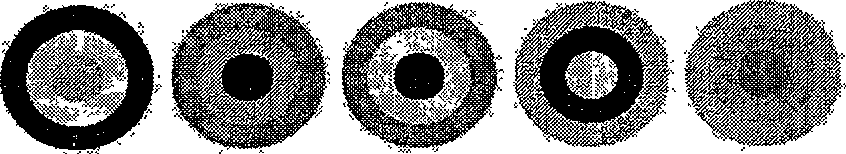 Method for calibrating camera and colour reference thereby