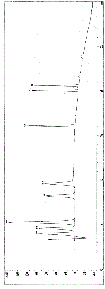 Lactobacillus campylobacter and its application in reducing nitrosamine content in air-dried intestines