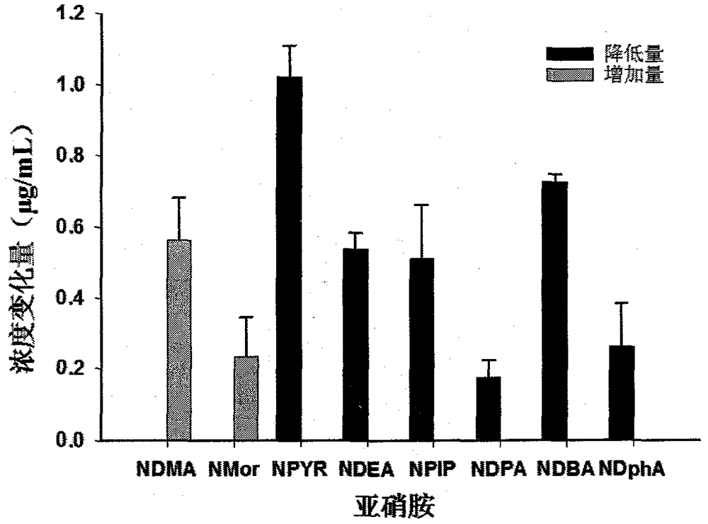 Lactobacillus campylobacter and its application in reducing nitrosamine content in air-dried intestines