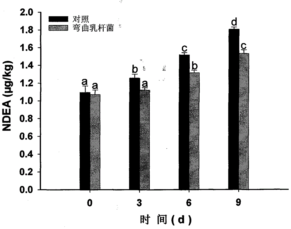 Lactobacillus campylobacter and its application in reducing nitrosamine content in air-dried intestines