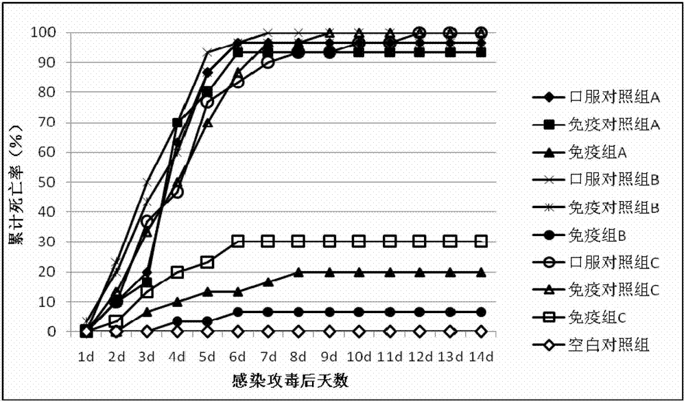 Novel bacillus subtilis multi-valent vector-based vaccine and application thereof