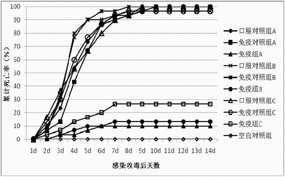 Novel bacillus subtilis multi-valent vector-based vaccine and application thereof