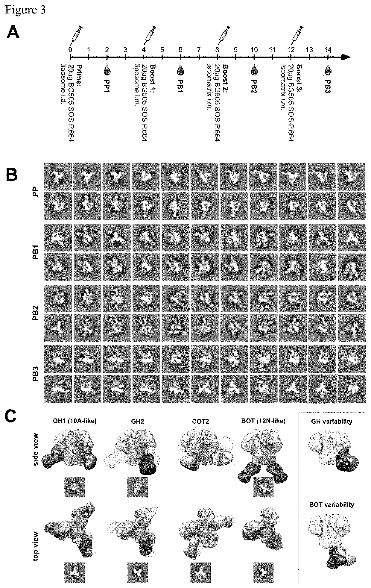 Epitope mapping method