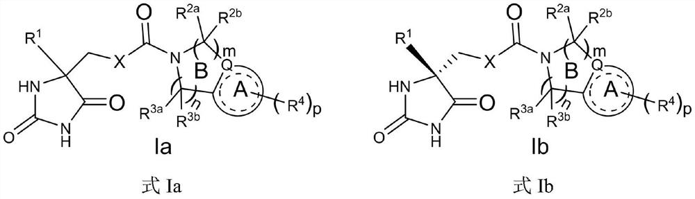 Condensed ring compound and preparation method and application thereof