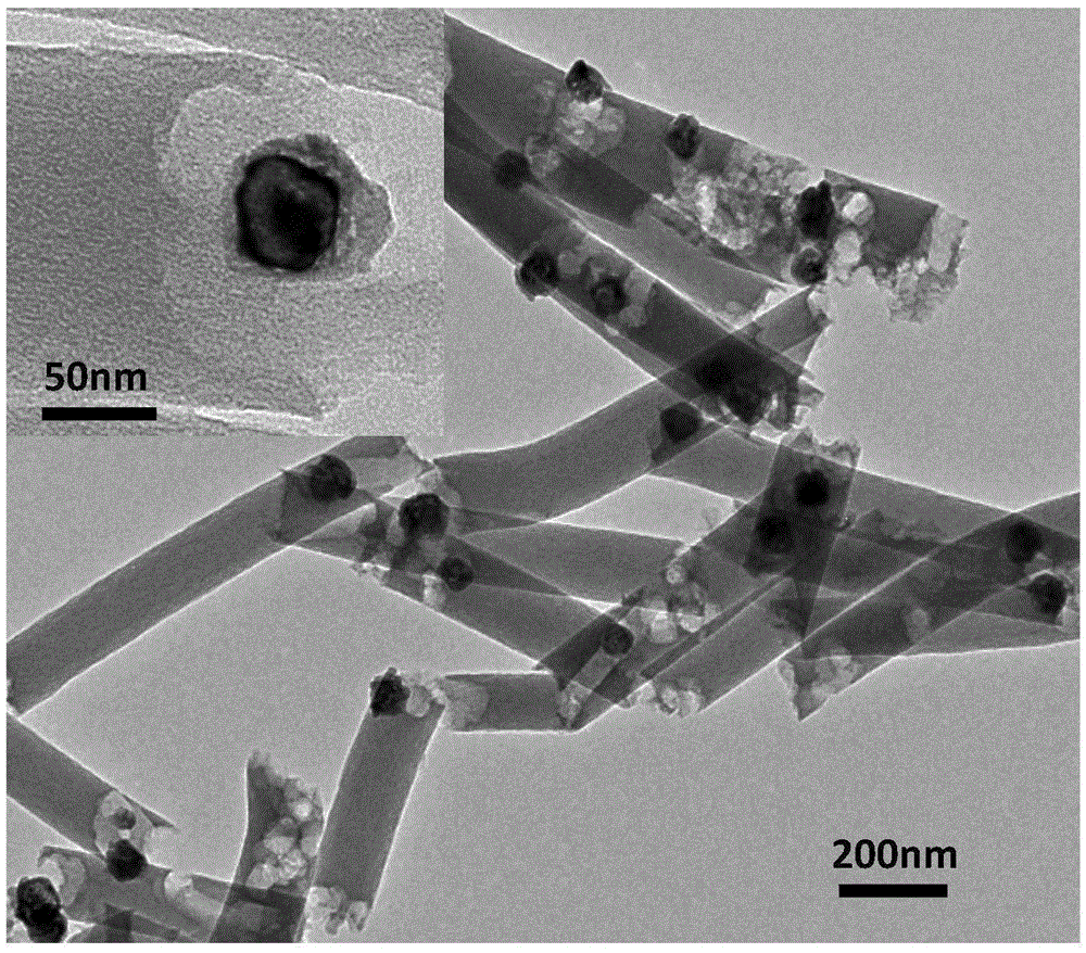 Cobalt and nitrogen doped carbon nanorod catalyst as well as preparation method and application thereof