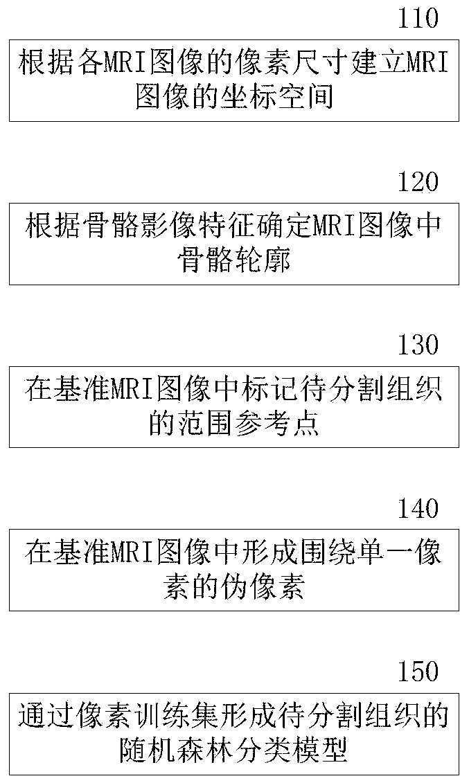 Segmentation method and segmentation system for large joint tissue