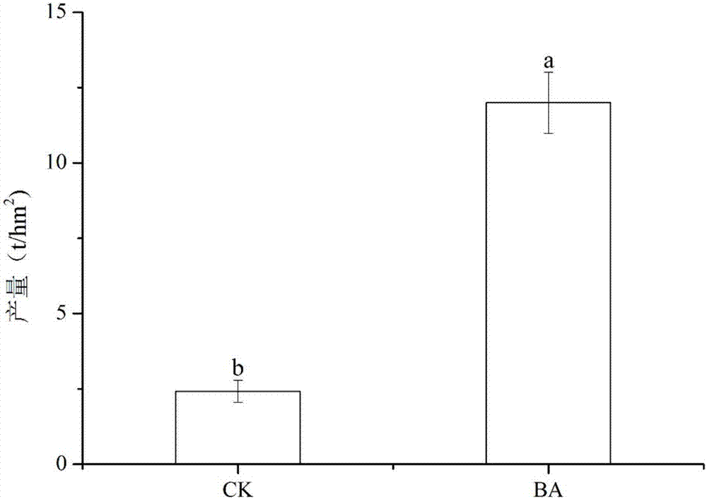 Organic preparation for controlling cruciferous vegetable club root and application thereof