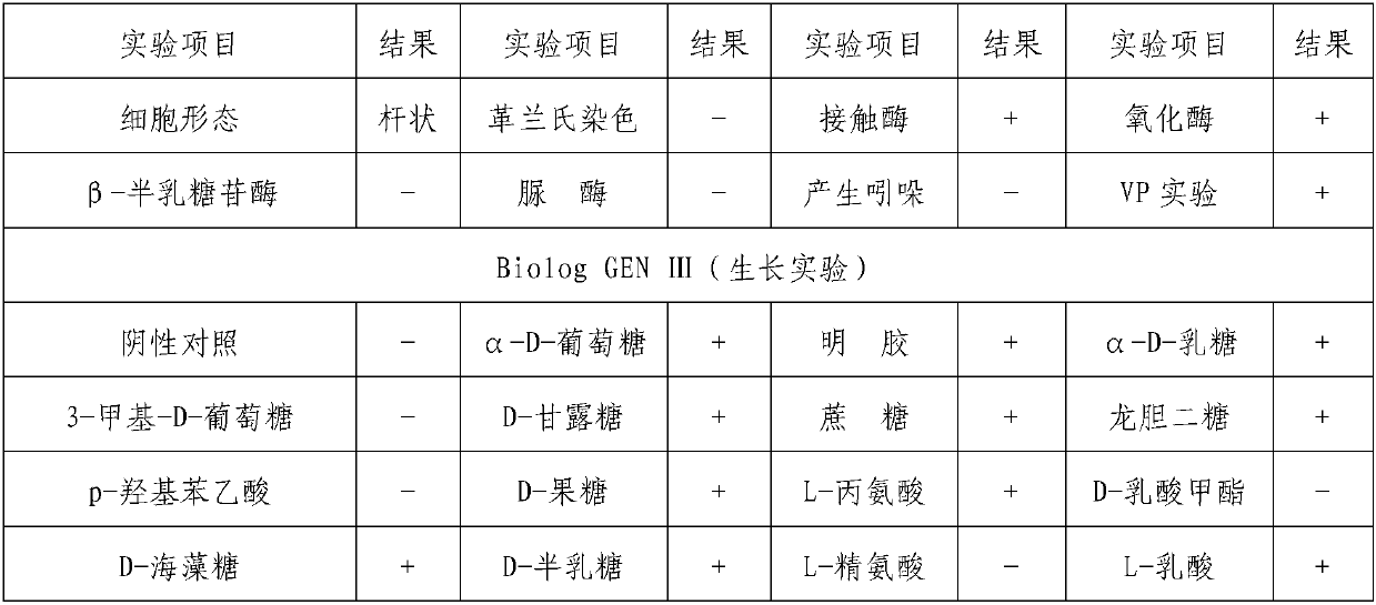 Sphingomonas azotifigens and application in preparation of gellan gum