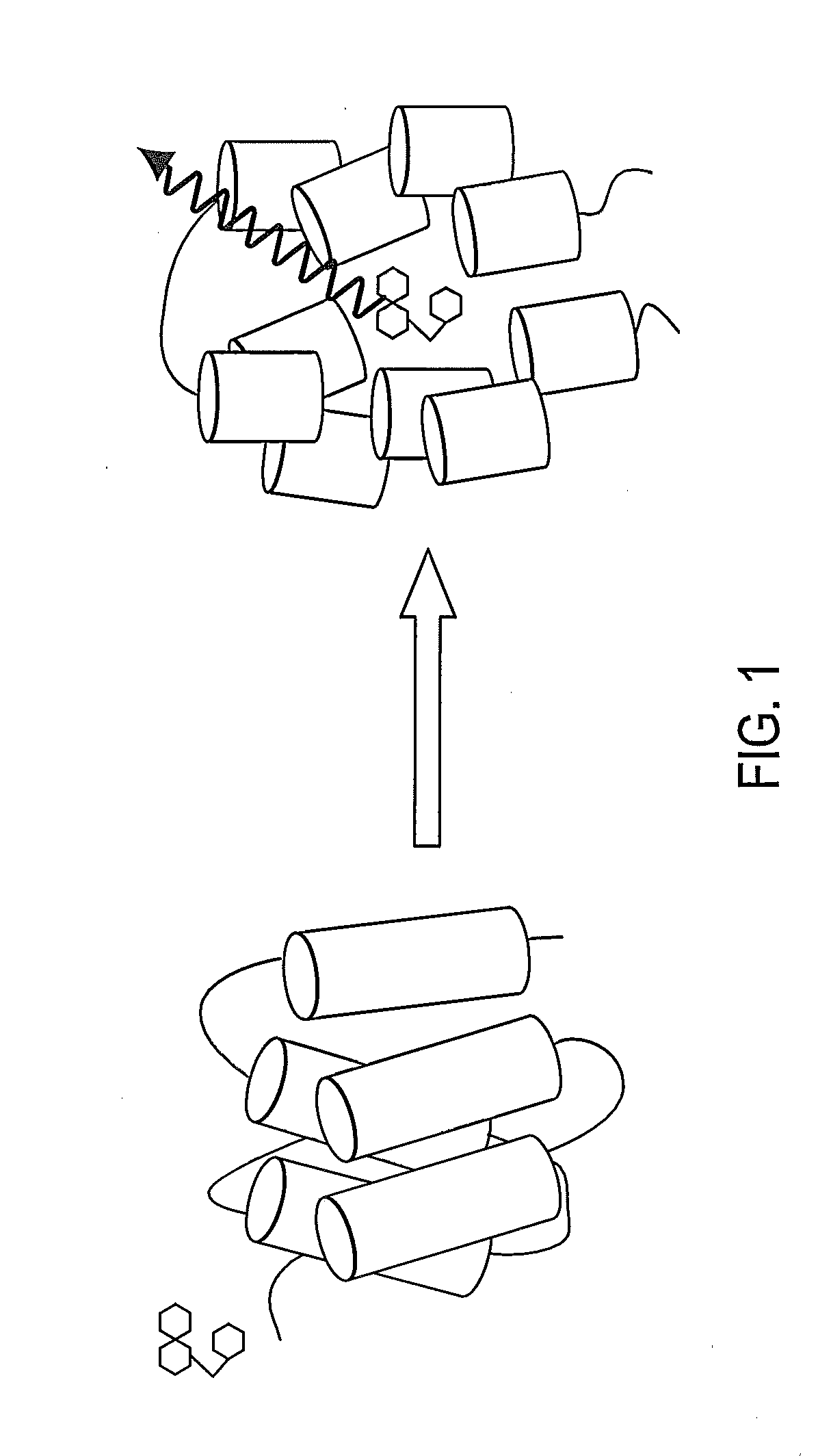 Methods for dye selection for protein melt temperature determinations