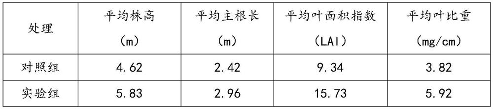 Citrus planting fertilizer and preparation method thereof