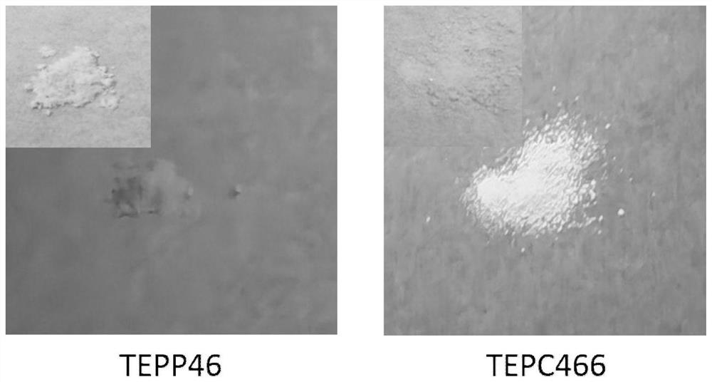 Small molecule fluorescent probe and preparation method for specific detection and activation of pkm2 protein