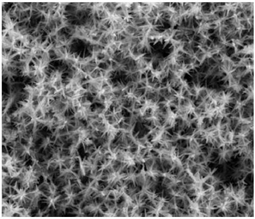 Diadema setosum-type PdCuIr nitrogen reduction electrocatalyst and preparation method thereof