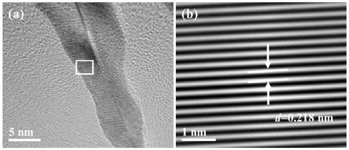 Diadema setosum-type PdCuIr nitrogen reduction electrocatalyst and preparation method thereof