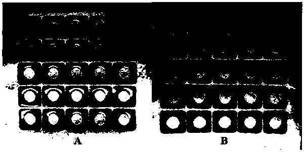 A kind of hydrophobic modification method of paper