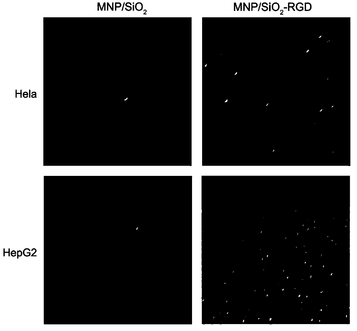 Method for taking super-paramagnetism nanometer particles as solid phase to perform peptide synthesis and synchronously construct polypeptide magnetic nanometer probe