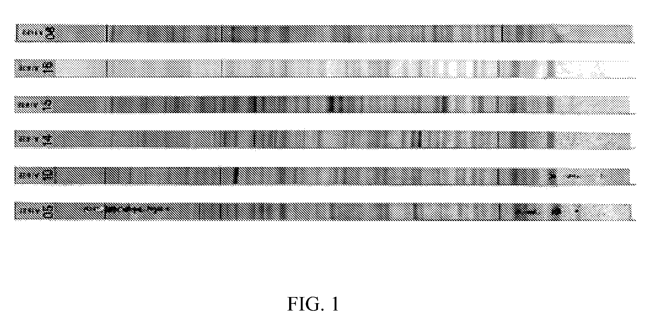 Antibody profiling sensitivity through increased reporter antibody layering