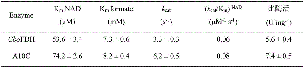 Formate dehydrogenase mutant with improved enzyme activity and stability as well as construction method of formate dehydrogenase mutant