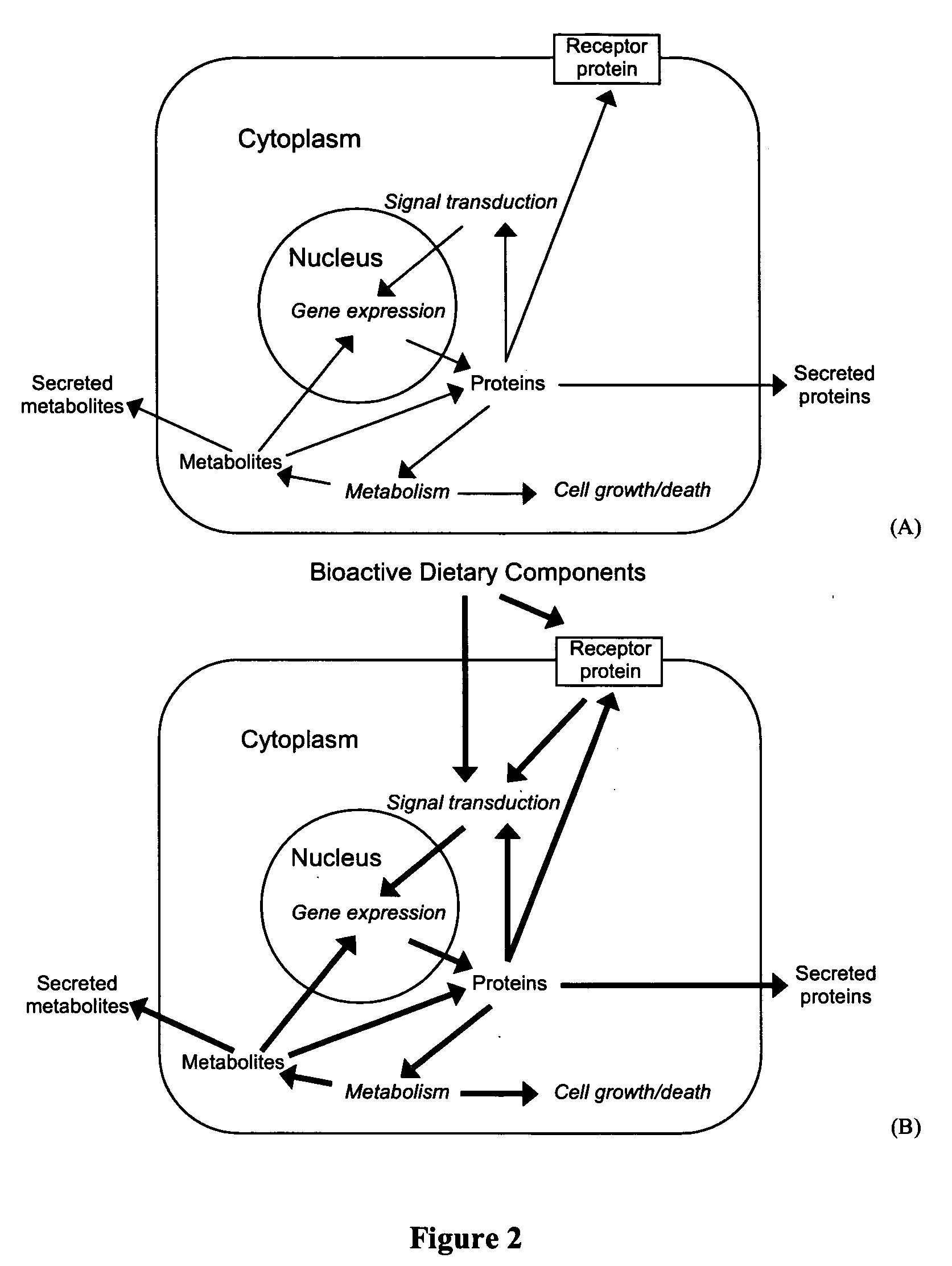 Methods and systems for designing animal food compositions