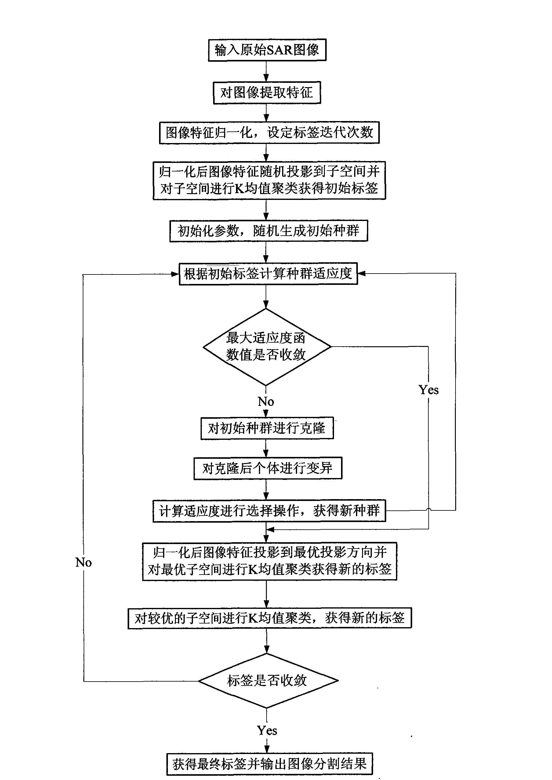 SAR image segmentation system and segmentation method based on immune clone and projection pursuit