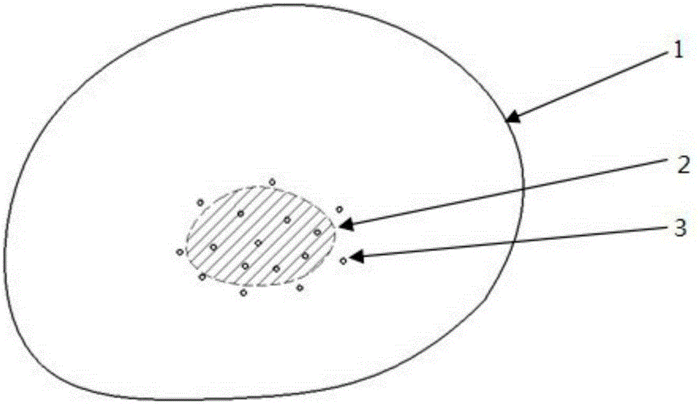 Repair method for delamination damage of composite laminated plate