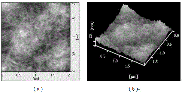 Method for preparing renewable nano-celluloses