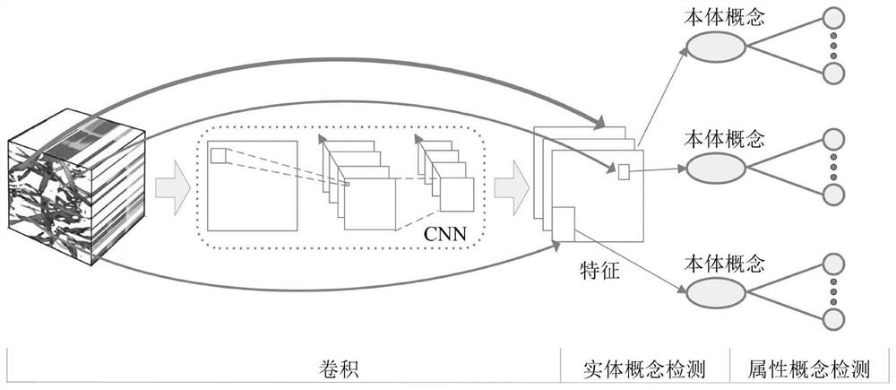 Crop disease prediction method based on crop ontology concept response