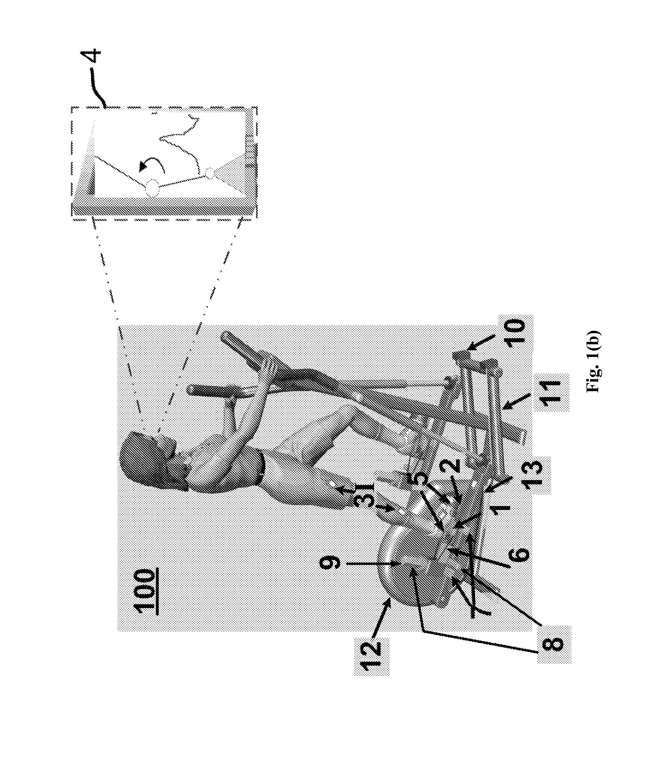 Apparatus and method of controlling lower-limb joint moments through real-time feedback training