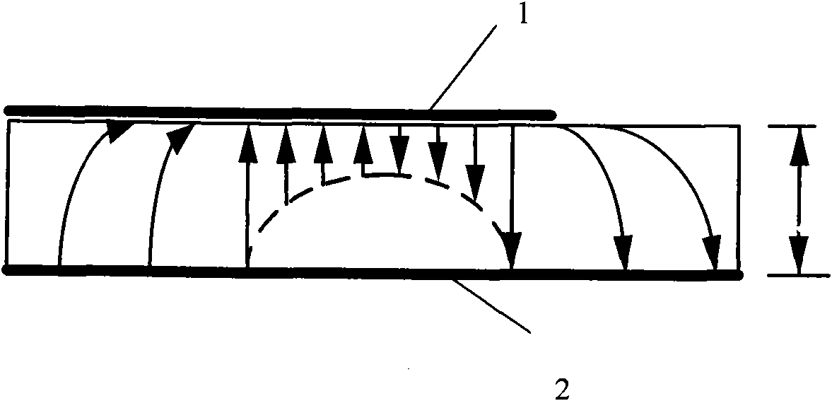 Anti-human body miniaturized electronic label and producing method thereof