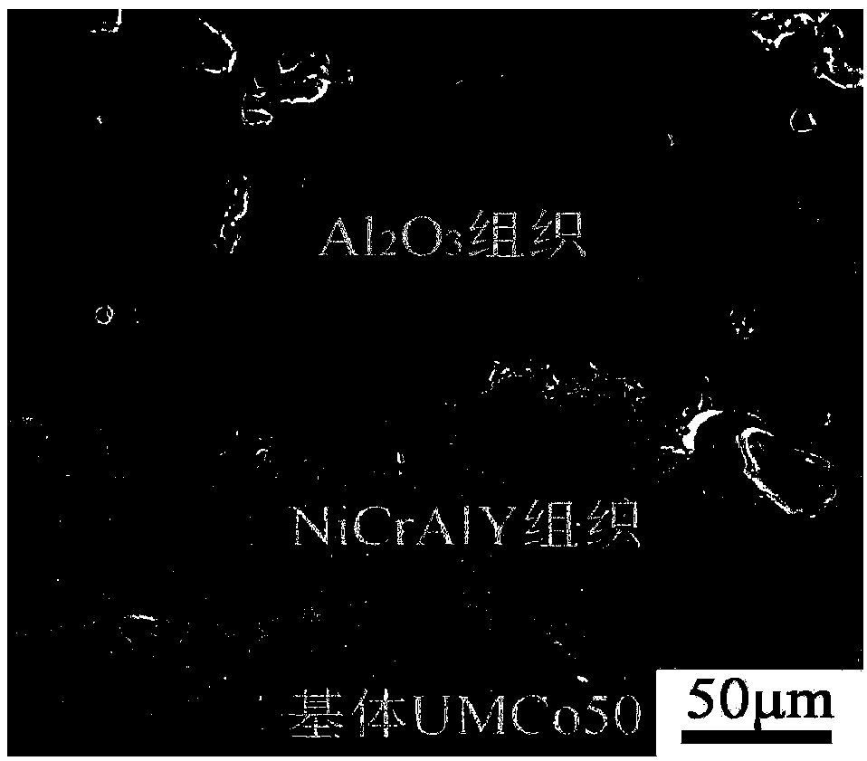 Thermal spraying high temperature resistant oxidation coating for gasifier burner and preparation method of thermal spraying high temperature resistant oxidation coating