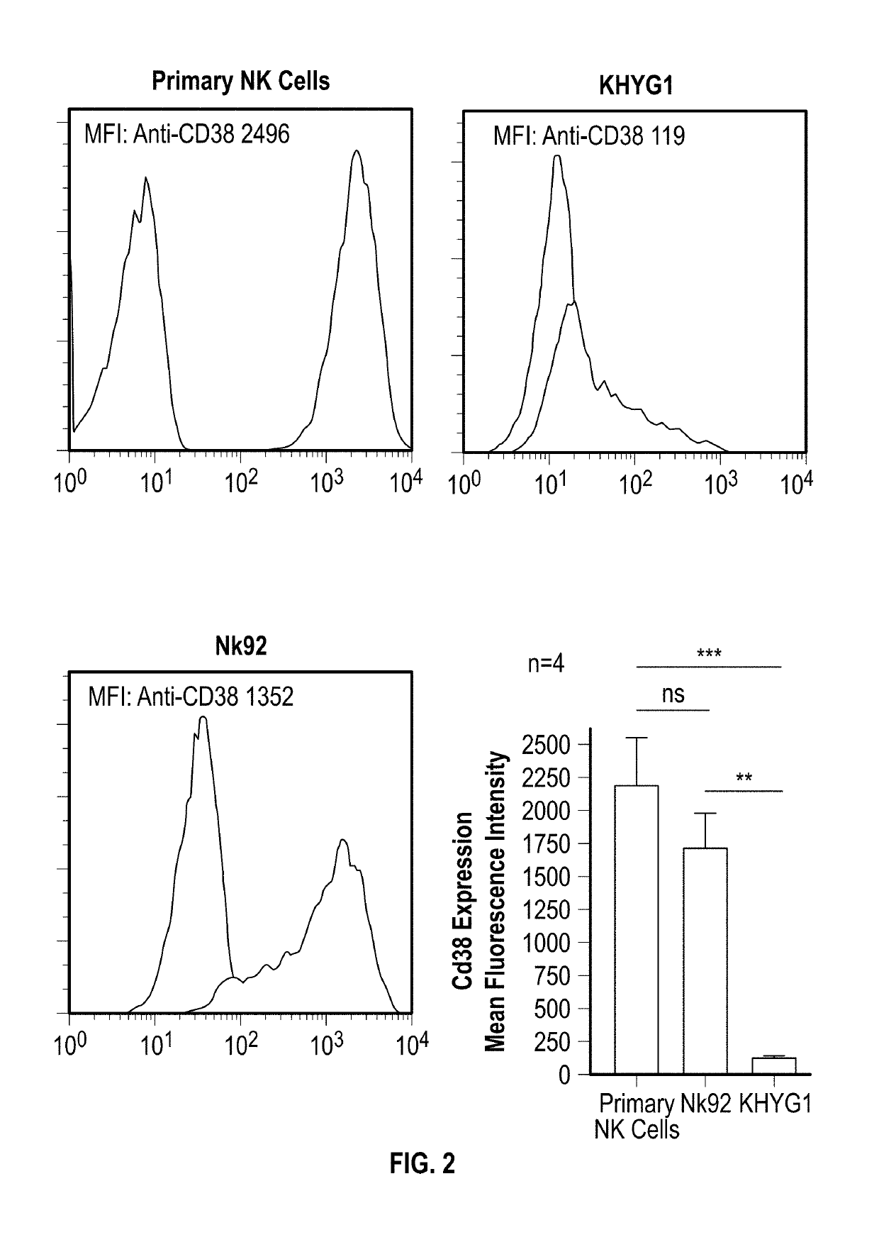 Nk cells for use with anitbodies in cancer therapy