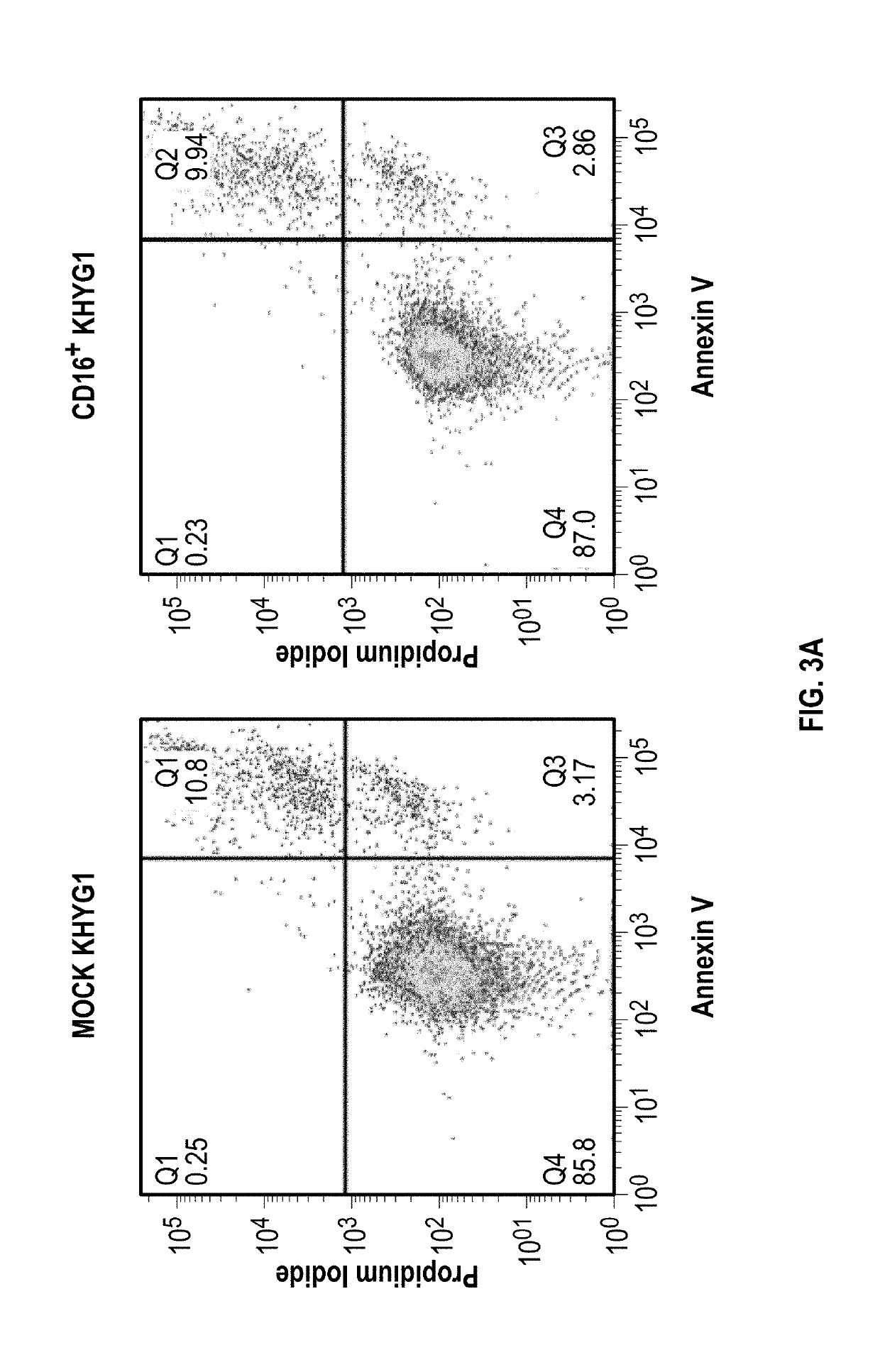 Nk cells for use with anitbodies in cancer therapy