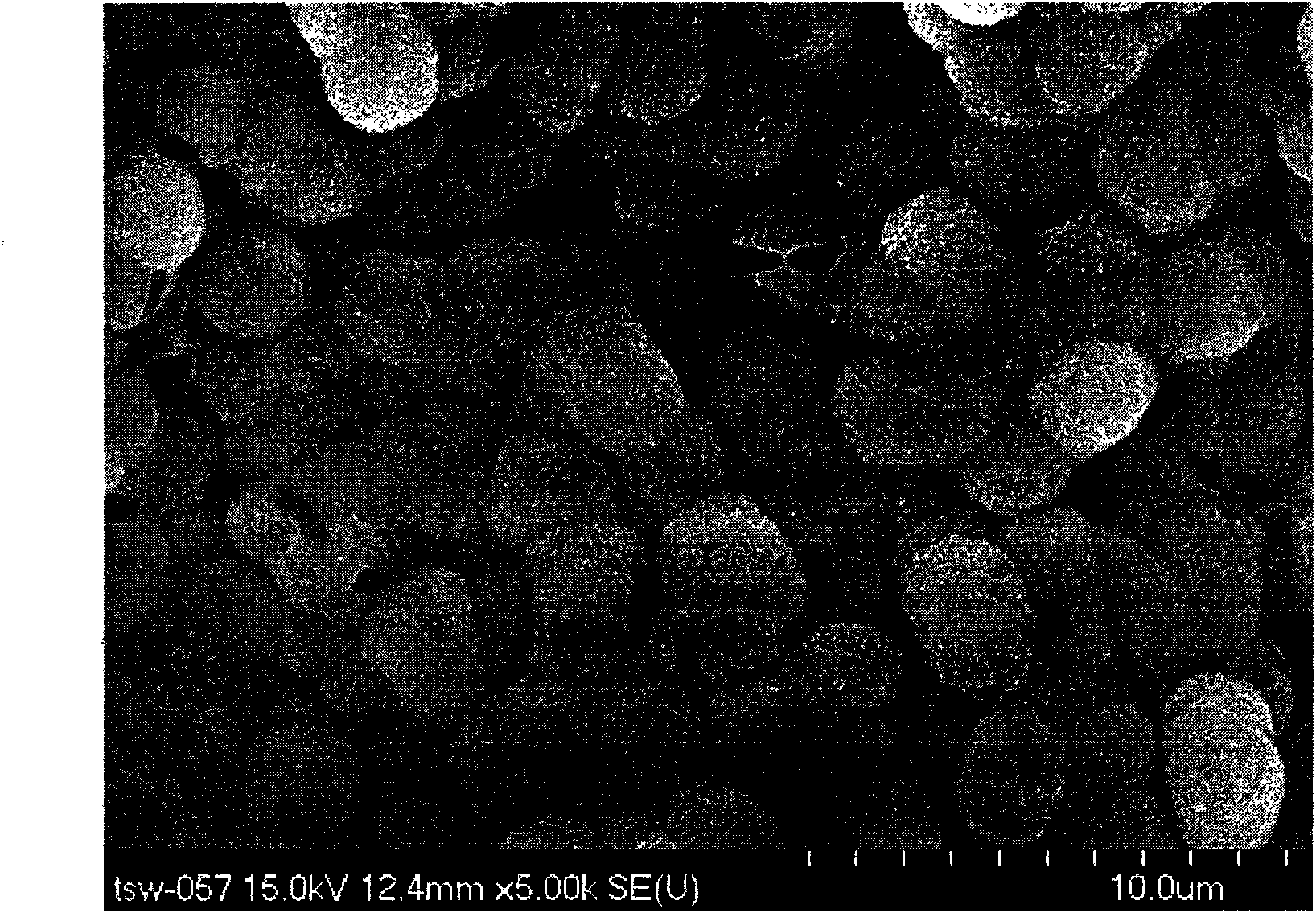 Treatment method of magnesium or magnesium alloy surface