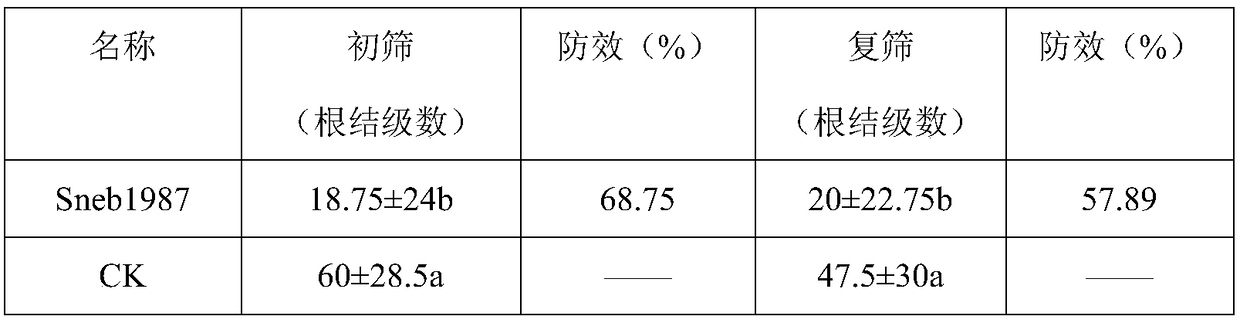 An enterobacter for controlling plant root-knot nematode and application thereof