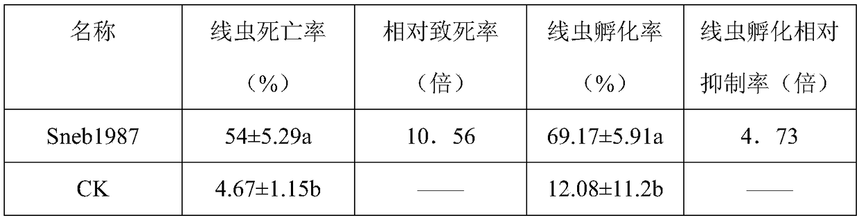 An enterobacter for controlling plant root-knot nematode and application thereof