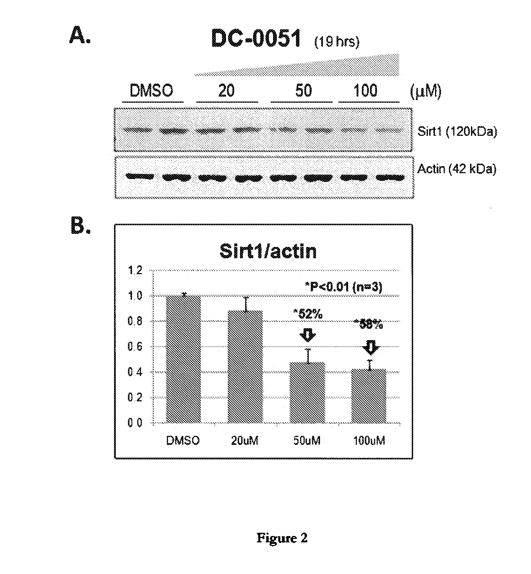 Sirtuin 1 and the Treatment of Neurodegenerative Diseases