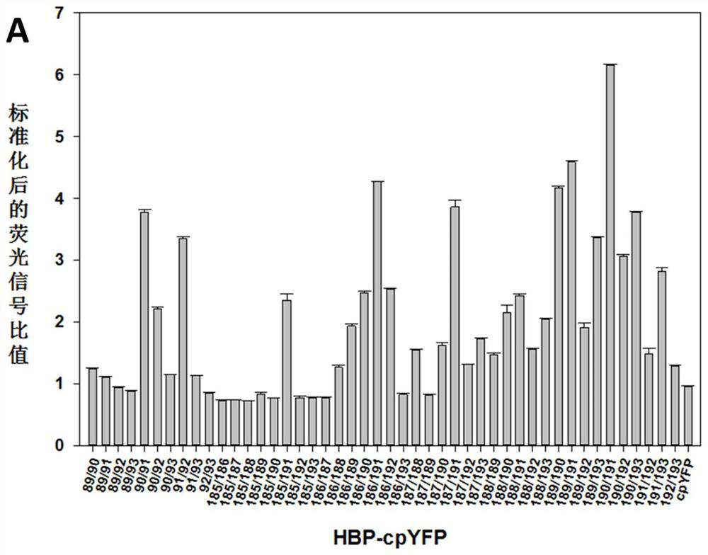 A kind of histidine fluorescent probe and its preparation method and application