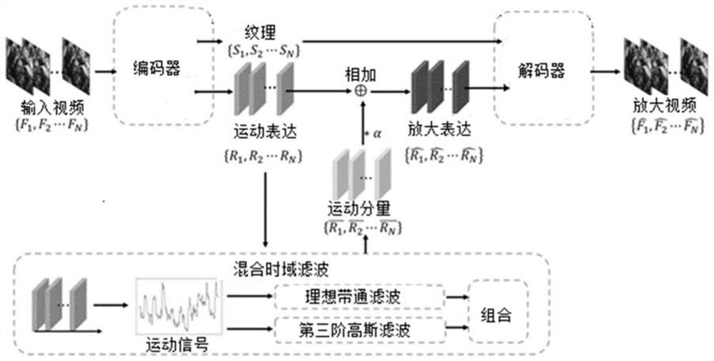 Medical robot operation video motion amplification method