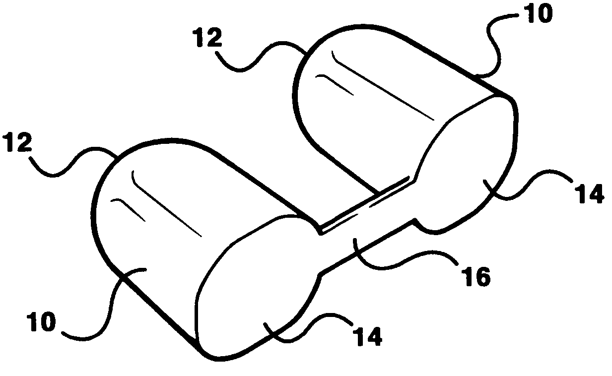 Personal air purifier with integral lanyard