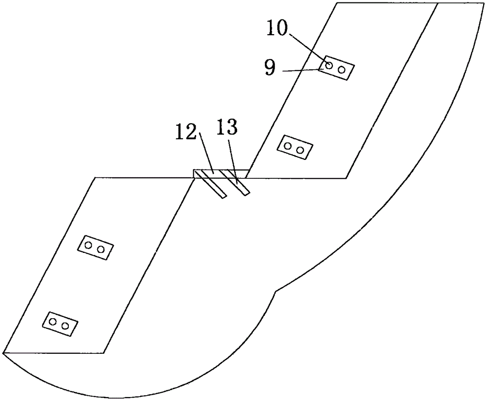 Rock soil slope protection structure and construction method thereof