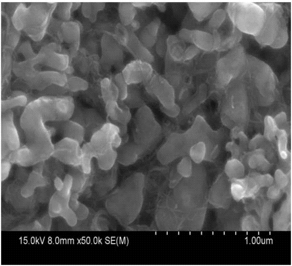 Positive paste containing carbon nanotube and preparation method and application thereof