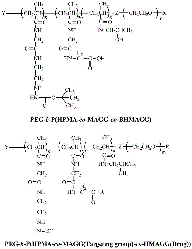 A kind of high-efficiency anti-tumor targeted drug carrier and preparation method thereof