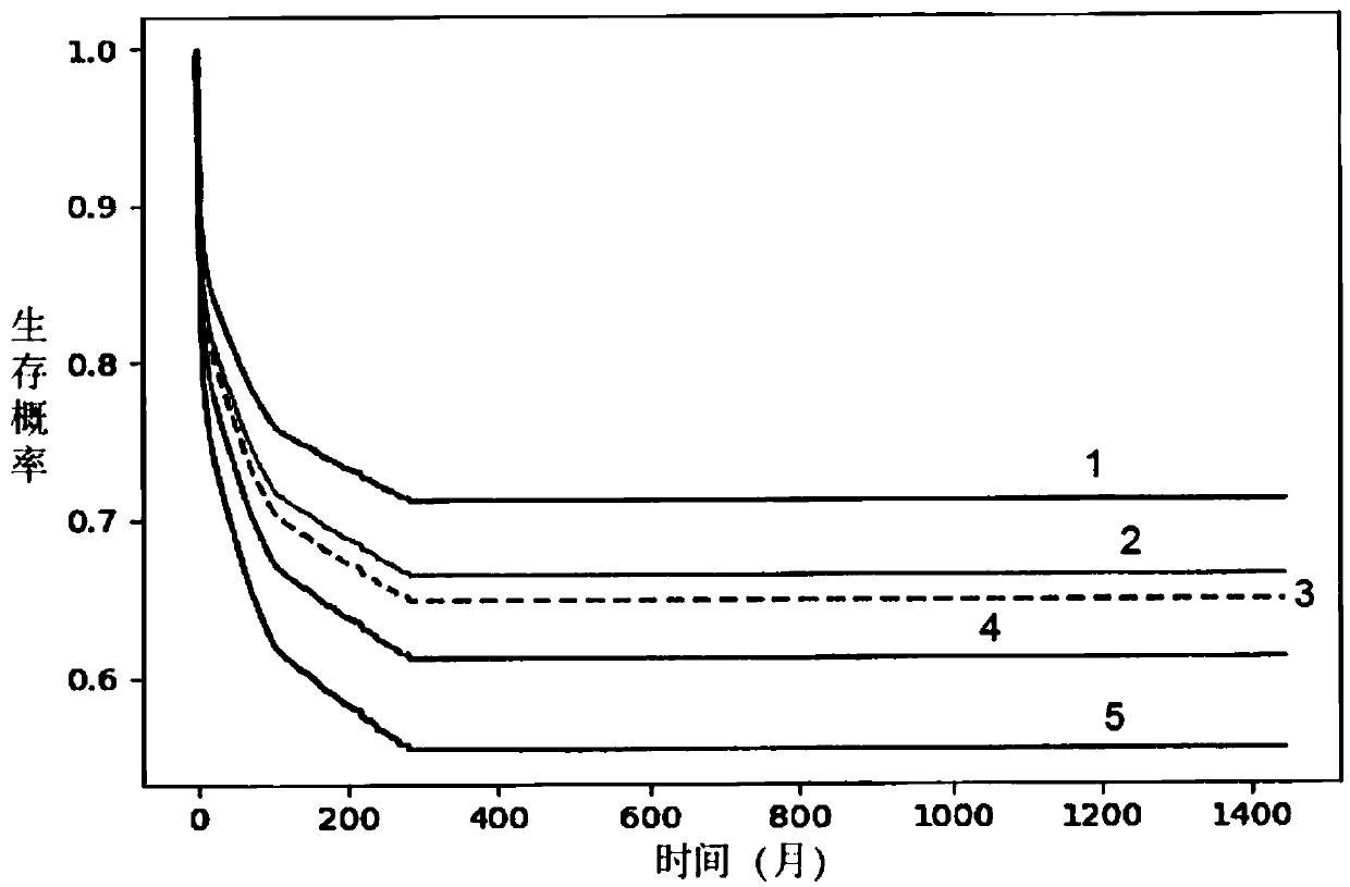 enterprise risk trust loss model based on Cox regression prediction