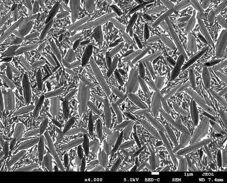 ti with high fracture toughness  <sub>2</sub> Alnb-based alloy and its preparation method and application