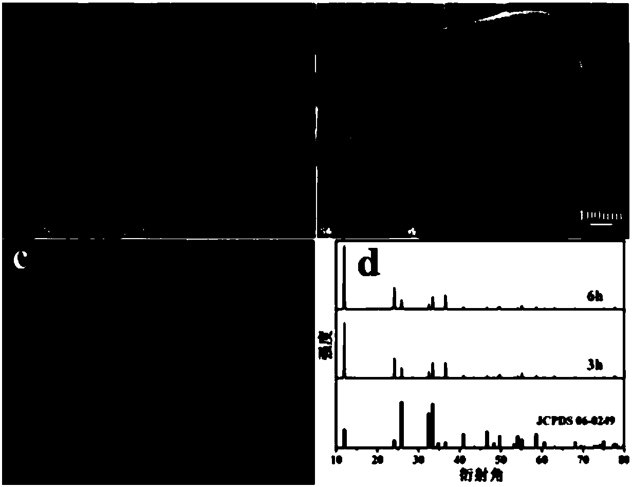 BiOCl nanoring and synthetic method thereof