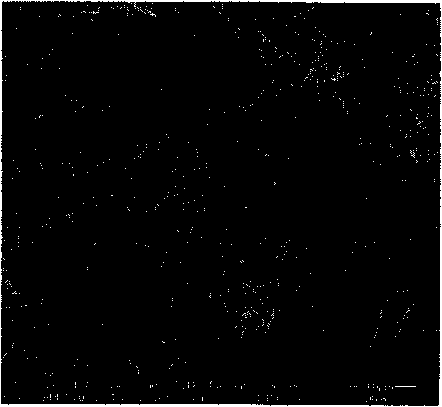 Method for preparing lead hydroxide nano-rod based on liquid-phase chemical reaction